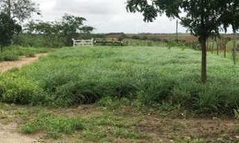 Imagem 4: Vendo 27 tarefas