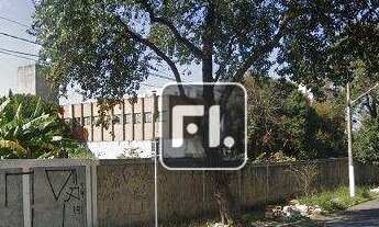 Imagem 4: Terreno para alugar, 2953 m² por R$ 80.000,00/mês - Vila Anastácio - São Paulo/SP