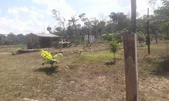 Imagem 2: Vendo chácara Chácara com venda por R$70.000