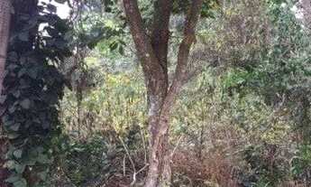 Imagem 4: TERRENO EM CONDOMÍNIO - JARDIM COLIBRI - SP