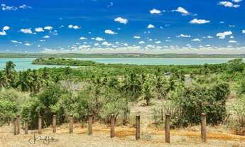 Imagem 7: Casa com piscina e viveiro de camarão com vista para a laguna