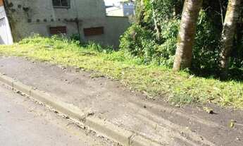 Imagem 5: Terreno para Venda em Quatro Barras, Jardim Orestes Thá