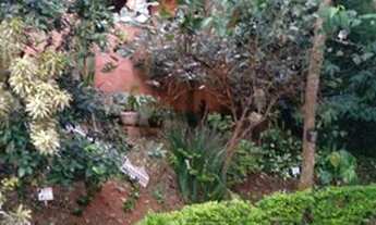 Imagem 3: Sobrado com 3 dormitórios, 70 m² - venda por R$ 510.000 ou aluguel por R$ 1.500/mês - Jara