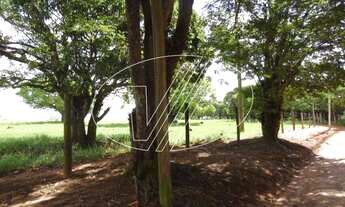 Imagem 6: área - Vila Hollândia - Campinas