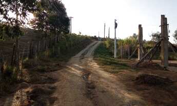 Imagem 2: Terreno para chácara de 1000m² com energia ligada e terraplanagem feita