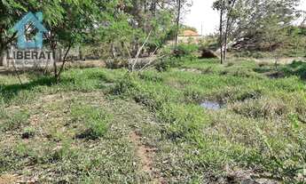 Imagem 7: Sítio em Pereiras, Oportunidade!