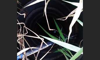 Imagem 6: Vendo terreno chácara/sítio