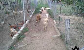 Imagem 3: Chácara a venda em Cocalzinho Condomínio Parque das Águas com area de lazer...