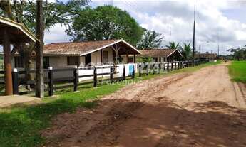 Imagem 7: Fazenda no Pará - Castanhal - 1163 ha (240 alq