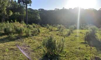 Imagem 3: Linda Chácara Urbana em Piraí do Sul