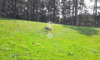Imagem: Terreno Em Condomínio Fechado Costa da