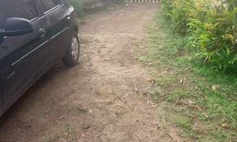 Imagem 5: Terreno plano com casa jardim 2