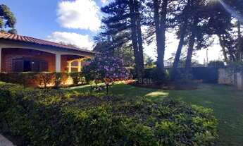 Imagem 3: Casa com 4 dormitórios para alugar, 530 m² por R$ 4.000/mês - Jardim Asteca - Rolândia/PR