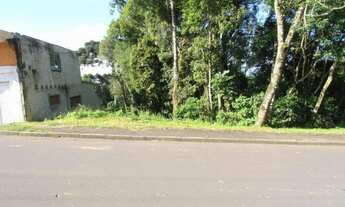 Imagem: Terreno para Venda em Quatro Barras, Jardim