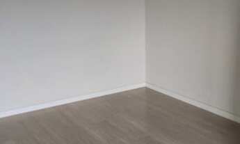 Imagem 5: Apartamento para aluguel possui 60 metros quadrados com 2 quartos em Vila Carbone - São Pa