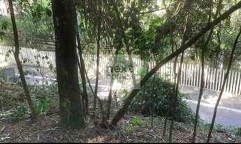 Imagem 7: Oportunidade - Terreno de 548m² no melhor do Butantã