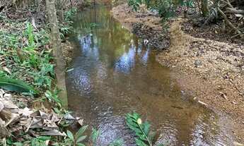 Imagem 6: Chácara 15.000m² , com luz, riacho nos fundos, Jaboticatubas