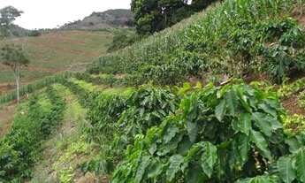 Imagem 2: Terreno 1 alqueires 13 litros