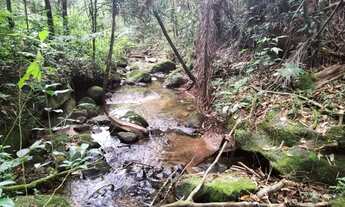 Imagem 3: Terreno grande de 10 alqueires com cachoeira, rio e nascente!