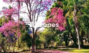 Imagem 3: Oportunidade - Chácara com casa de 6 suites 550 m2 contsrução e 7.700 m2 de área total em