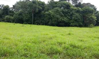 Imagem 6: VENDO CHÁCARA RICA EM ÁGUA SANTO ANTÔNIO DESCOBERTO GO PORTEIRA FECHADA