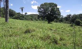 Imagem 7: Fazendinha antiga 15 ha, terra boa, riacho no meio do terreno, Serra do Cipó