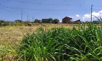 Imagem 5: Vende-se terreno no Rio Ivaí