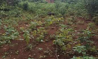 Imagem 4: Lote bairro independência 3 complemento