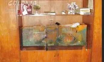 Imagem 7: Santo André - Apartamento Padrão - Centro