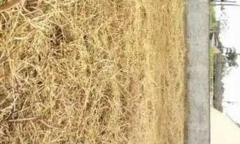 Imagem 4: Terreno 302,5 m2