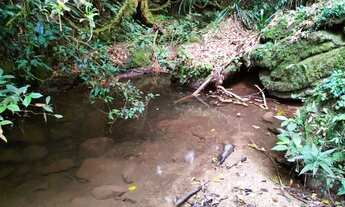 Imagem 7: Terreno grande de 10 alqueires com cachoeira, rio e nascente!