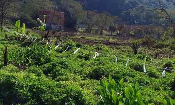 Imagem 5: Terrenos 10x40 Terreno / lote com venda por R$35.000