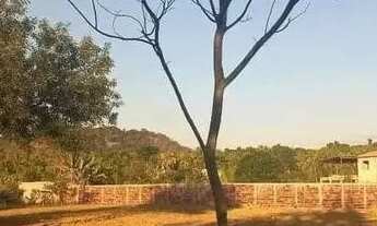 Imagem 3: Terreno proximo a Baguari