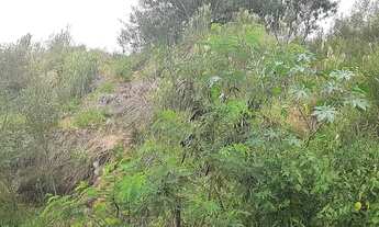 Imagem 3: Quintas de Pirapora- Fazenda Netinho- 3.865,00 M2