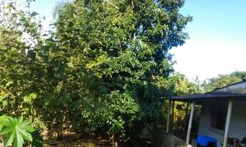 Imagem: Chacara 1.800m2