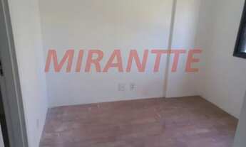 Imagem 4: Lindo apartamento em Tucuruvi