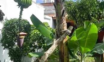 Imagem 4: Casa Térrea com Belo Terreno - 205m² total - Venda -Jardim Caravelas, São Paulo 2 dormitór