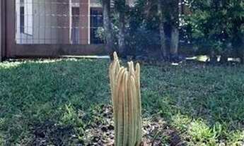 Imagem: Sobrado 4 dormitorios, sendo 4 suites