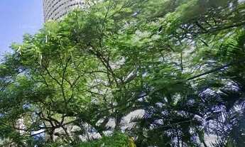 Imagem 6: APARTAMENTO NA BARRA DA TIJUCA