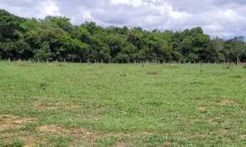 Imagem 4: Fazenda/Sítio/Chácara para venda tem 726000 metros quadrados em Rive - Alegre - ES