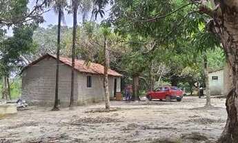 Imagem 2: Chácara de ca. de 7 alqueires em Divinópolis do TO, ótima localização