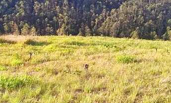 Imagem 2: TERRENO IMPECÁVEL PRA VOCÊ