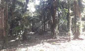 Imagem 6: Terreno na Estrada da Graciosa em Cond. Fechado