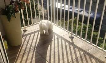 Imagem 3: Apartamento VILA CUNHA BUENO SAO PAULO SP Brasil