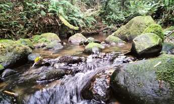 Imagem 2: Terreno grande de 10 alqueires com cachoeira, rio e nascente!