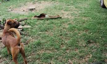 Imagem 5: Vendo ou alugo imóvel com RGI em Maricá