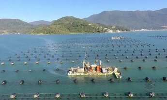 Imagem 15: Apartamento 2 quartos - Penha - SC