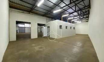 Imagem 5: Comercial GalpãoBarracão em Marília