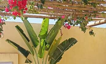 Imagem 2: 4 Flats Novos em São Miguel do Gostoso : Chalés , Hostel , Pousada Loft kitnet