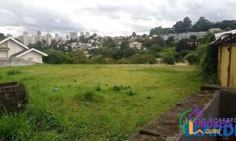 Imagem 4: TERRENO - PANAMBY - SP